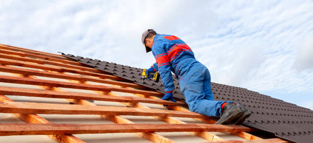 Best Roof Maintenance and Cleaning  in Cool Valley, MO