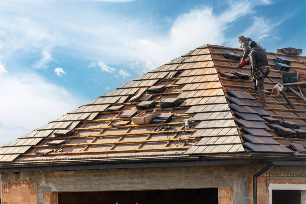 Best Roof Insulation Installation  in Cool Valley, MO